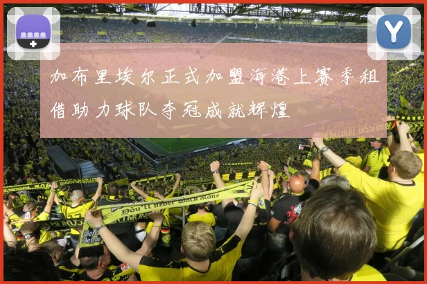 加布里埃尔正式加盟海港上赛季租借助力球队夺冠成就辉煌
