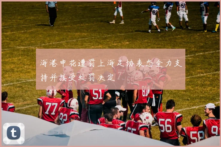 海港申花遭罚上海足协表态全力支持并接受处罚决定